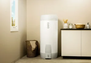 saga2-standard-11-jpg