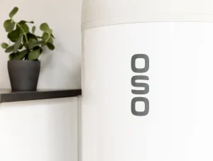 saga2-standard-9-jpg